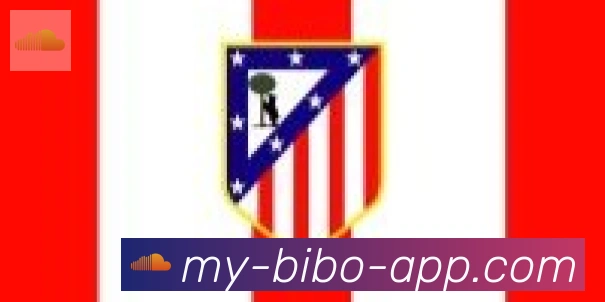 必博bibo官网体育合作伙伴